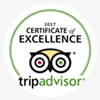 Trip Advisor Review