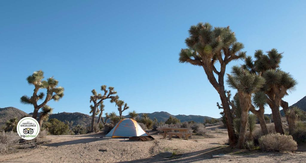 Camping in the Mojave Deserts