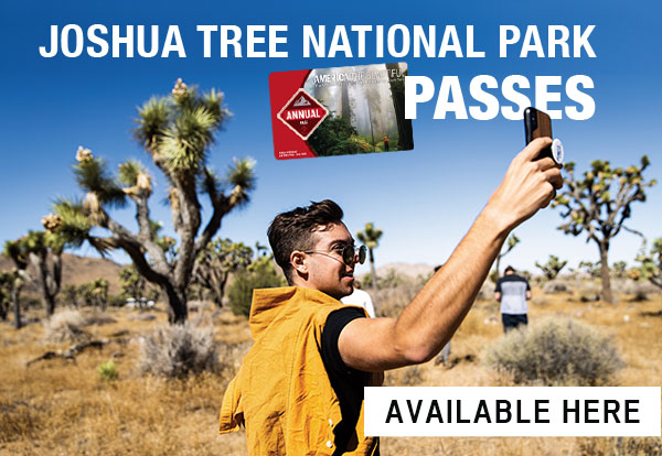 Joshua Tree National Park Passes