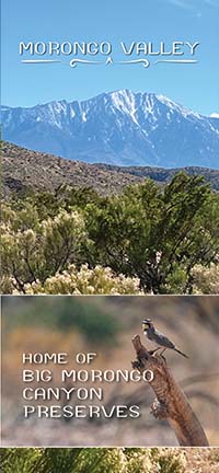 Morongo Valley map card