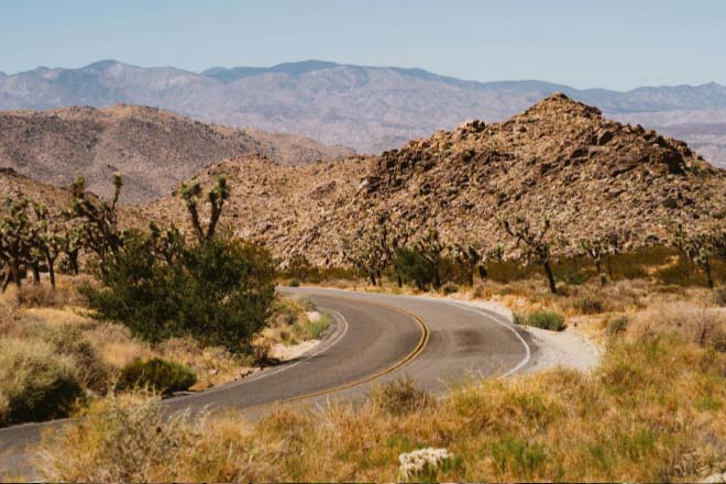 Day trip to Joshua Tree