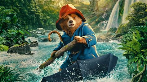 Paddington in Peru 2025